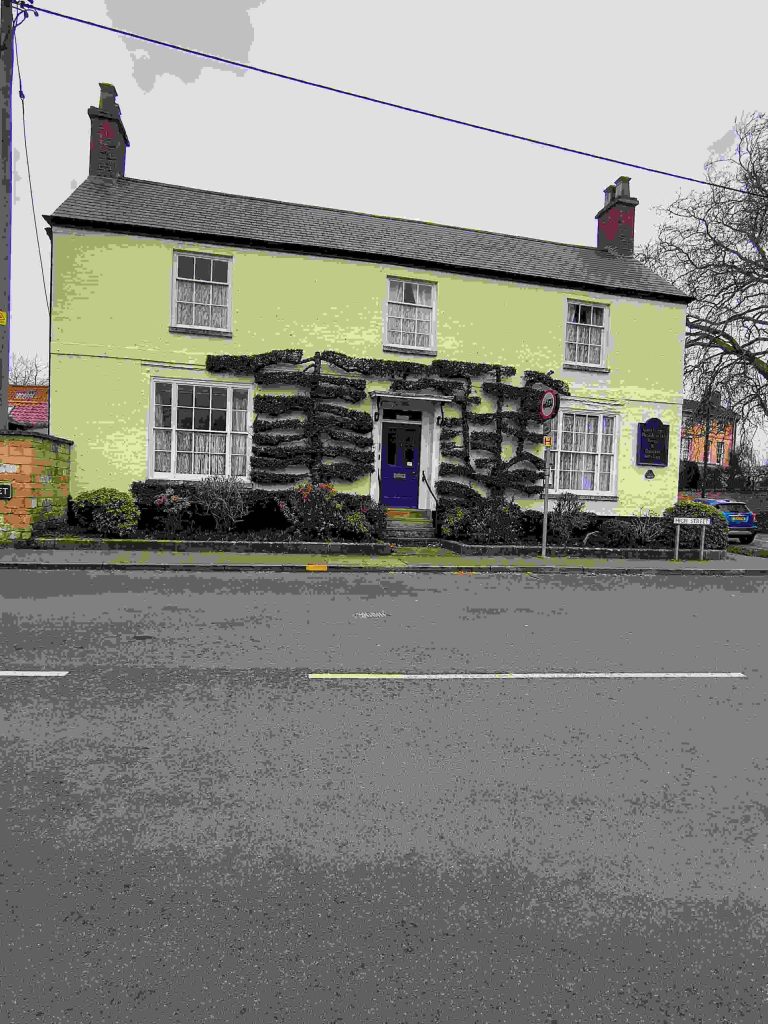 House with ivy-covered facade
